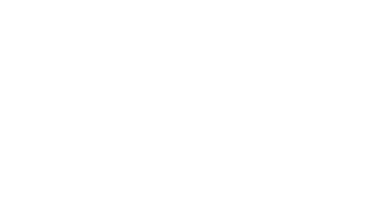  FineLine LiniQ